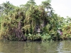 Boattrip in the canals