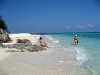 bamboo_island