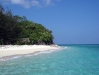 bamboo_island_2