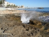 IMG_1663.JPG