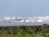 May 2010