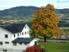 dscf0443