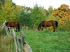 dscf0444